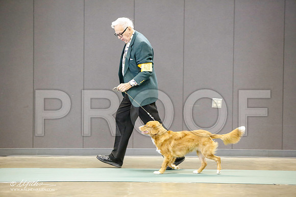 _LH_3100-BeltonJan2015-HR3