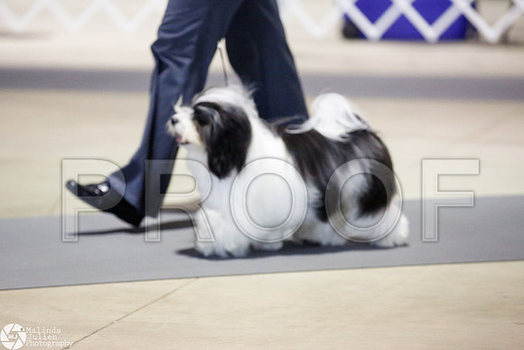 _JJ_2826-SanAntonioJul2014-HR