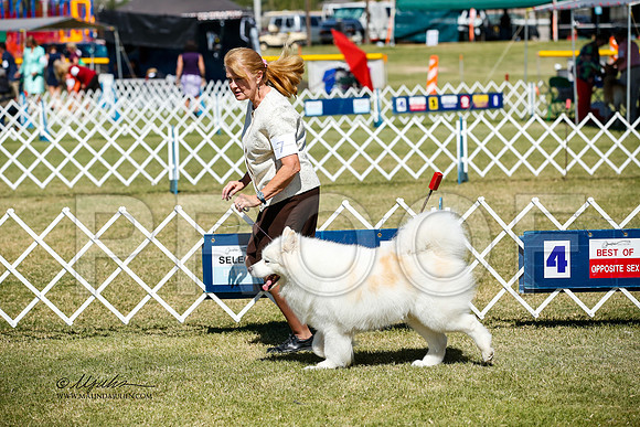_JJ_3800-AlamogordoOct2014-HR3