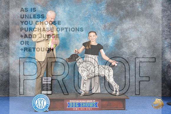 German Shorthaired Pointer #J403 Wed BJr Judge Jon Cole__JP_7540_Houston_2024_HR3