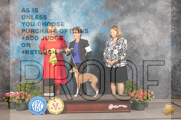 Italian Greyhound #15 Thur RBIS Judge Debra Thornton_MJ_0007_SA_2022_HR3