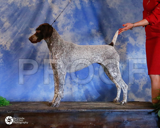 GSP-9812-HstnMar2014-HR3