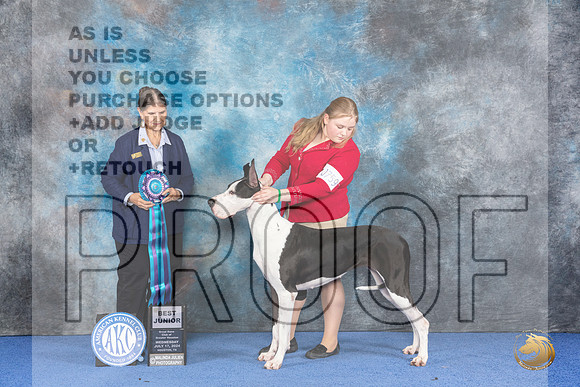 Great Dane #J759 WED BJr Judge Cathy De La Garza__JP_6759_Houston_2024_HR3