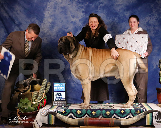Mastiff-5362-GRJan14-HR