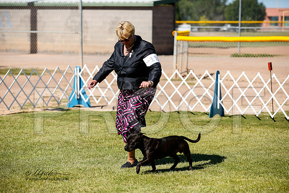 _JJ_3216-AlamogordoOct2014-HR3