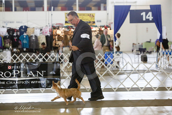 _HR_4028-DallasJul2014-HR3