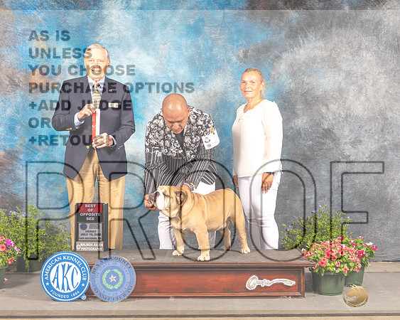 Bulldog #25 Fri BOS Judge Dvid Bolus-_MJ_0010e-SA2022_HR3
