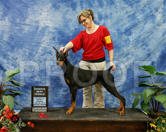 dobe-6710-HtoJan14-HR