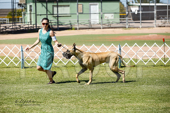 _JN_0805-AlamogordoOct2014-HR3
