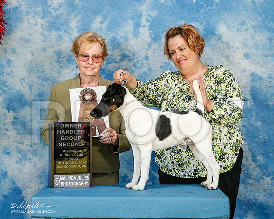 _ST_3217-2-AlamogordoOct2014-HR3