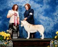 #8 Sat AOM Ruthy Lloyd & Cadey Snedeker Judge Stephanie Hamblin-Barnhill