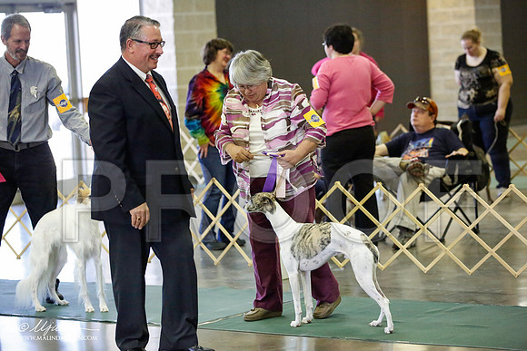 _JN_3701-BeltonJan2015-HR3