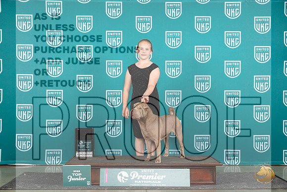 Chinese Shar Pei #1179 Thur NtlTJr4th Judge Kathie Short__JP_1352_Premier_2024_HR3