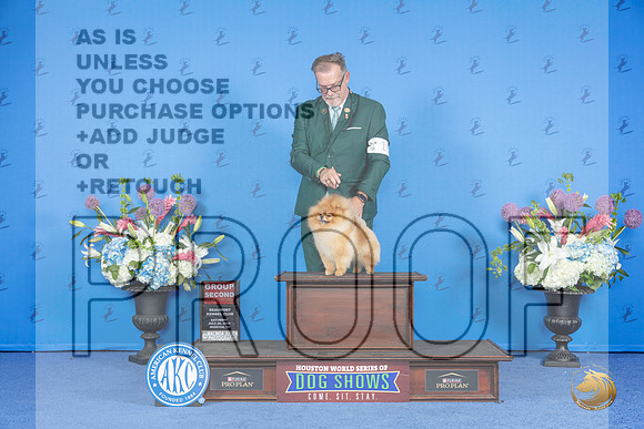 Pomeranian #15 SAT G2 Judge Nancy Liebes__JP_0042_Houston_2024_HR3