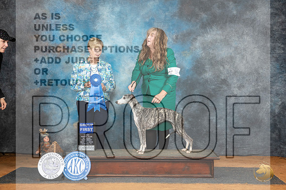 Whippet #14 Sat G1 Judge Karen Hynek__JP_8128_MARSHALL_2024_HR3