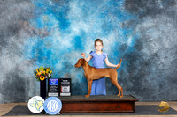 Vizsla #10 Sat WBBOWBOSMCH Judge Sharol Candace Way