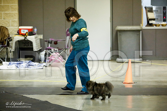 _JJ_5435-BeltonJan2015IABCA-HR3