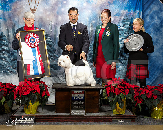 _ST_8391-DallasDec2014-HR3