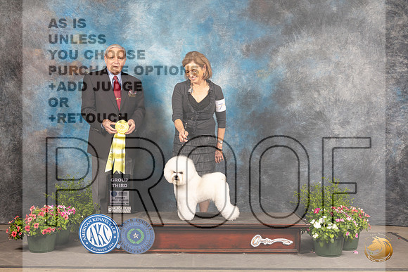 Bichon Frise #7 Sun G3 Judge Robert Shreve_MJ_1352_SA_2022_HR3