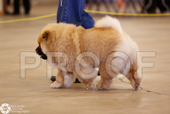 CHOW-0528-Waco14-HR