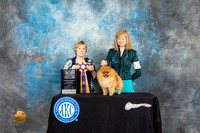Pomeranian #59 Fri2 BISS Judge Sharon Masnick