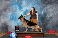 German Shepherd #5 Sat G2 Judge Pat Trotter