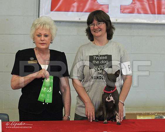 IMG_1019web