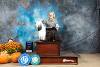 Tibetan Terrier #6 Sun G1 Judge Donnelle Richards