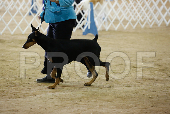 dobe-7488-HstnNov13-HR