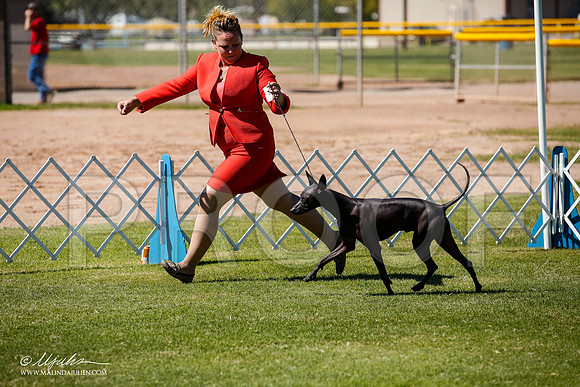 _JJ_8583-AlamogordoOct2014-HR3