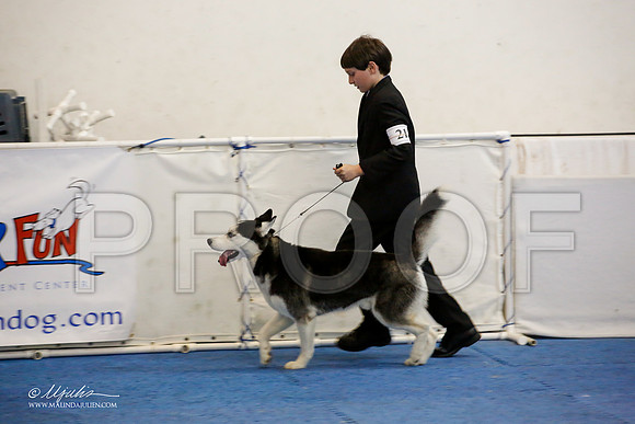 _M3_9649-AddisonHuskyMar2015-HR3
