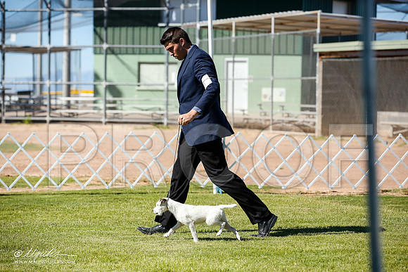 _JN_4426-AlamogordoOct2014-HR3