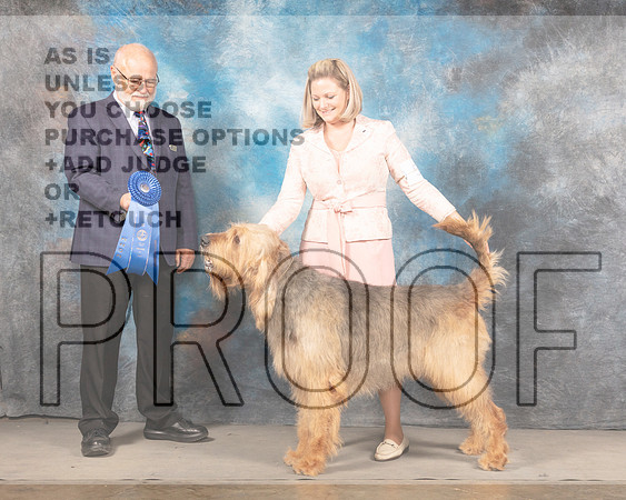Otterhound #5 Sun G1 Judge Gary Andersen-MMJ_5879e-HR3