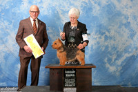 Norwich Terrier #5 Sat G3 Alejandro Garza A Gomez Manuel Edgar Lopez Agent Brenda Lee Combs Judge Edd Bivin +A1