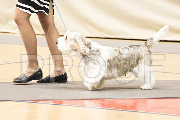 PBGV-8923LR