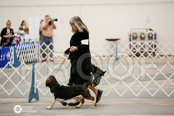 _RH_1458-AblnMay2014-web