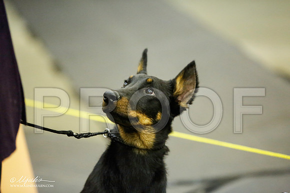 _JJ_6119-BeltonJan2015IABCA-HR3