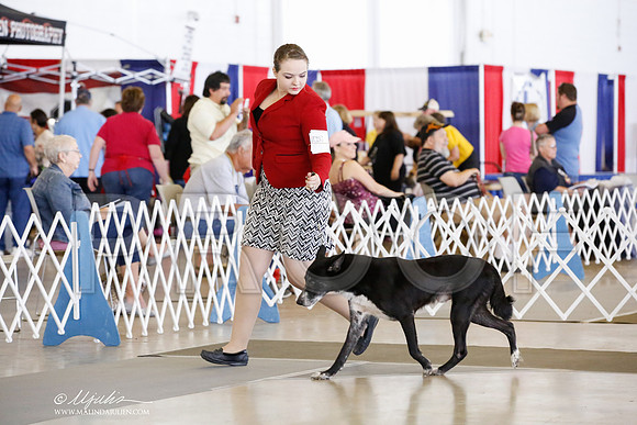 _CK_9391-DallasJul2014-HR3
