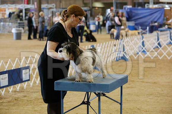 PBGV-7302-HstnNov13-HR