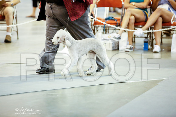 _JJ_7762-DalJul2014-HR3