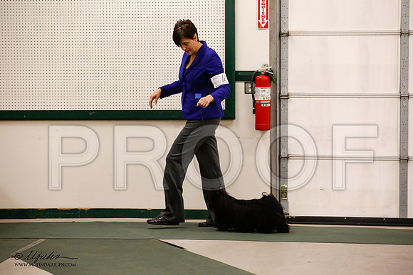 _JN_9453-NrmnNov2014-HR3