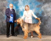 Otterhound #5 Sun G1 Judge Gary Andersen