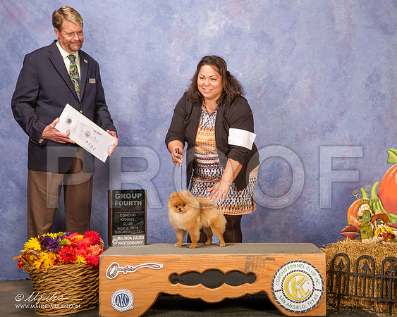_CL_4699 - Version 2-SanAngelo2014-HR3