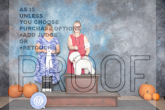 Bichon Frises #6 Sat G4 Judge D. Brown__JP_8822_Humble_2024_HR3