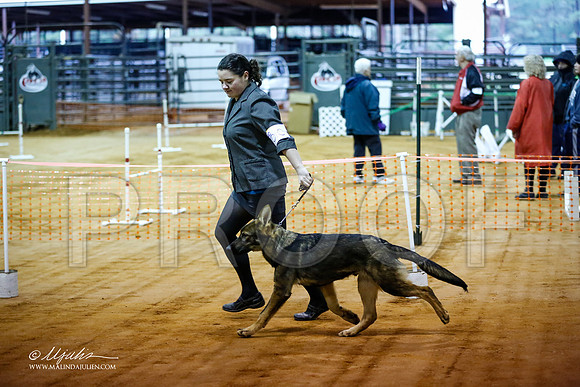 BISpup-3589-MrshllDec13-HR