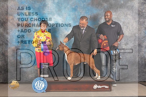 Boxer #7 WED WD Judge Barbara Alderman_MJ_1831_Houston_2022_HR3