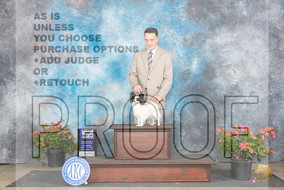 Papillion #20 Sat WBBOWM Judge Elizabeth ‘Beth’ Sweigart__JP_4985_San Antonio_2024_HR3