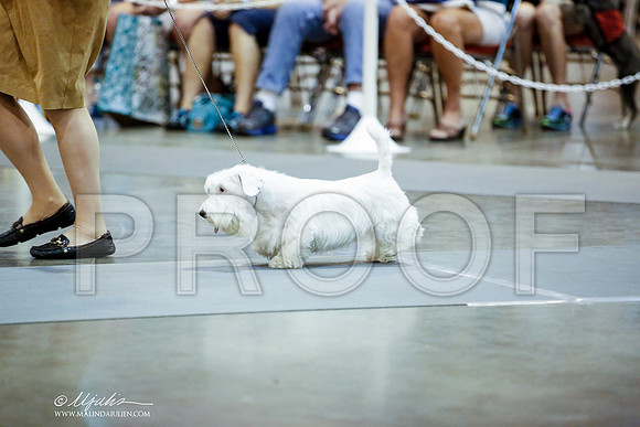 _JN_9624-HstnJul2014-HR3