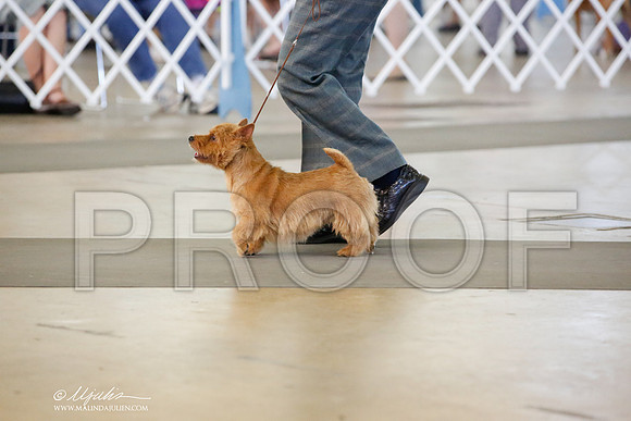 _JN_6447-DalJul2014-HR3