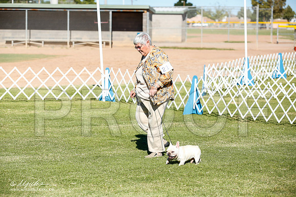 _JN_8467-AlamogordoOct2014-HR3
